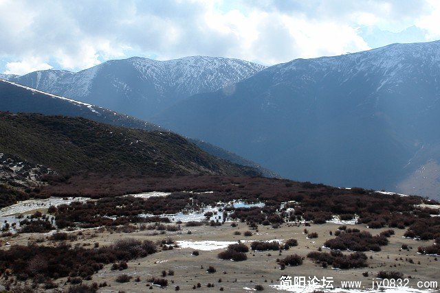 DSC06385.jpg