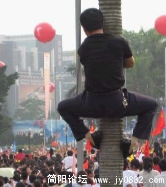 就为了看上一眼