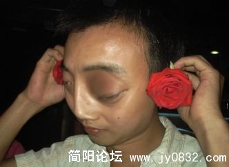 29.jpg