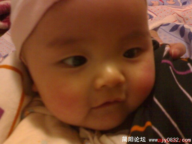 乖