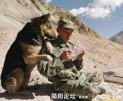 你没有依靠，可能是你没有寻找远方共同的思念.JPG