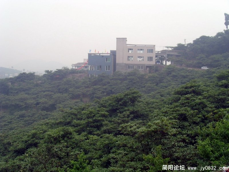 02.JPG