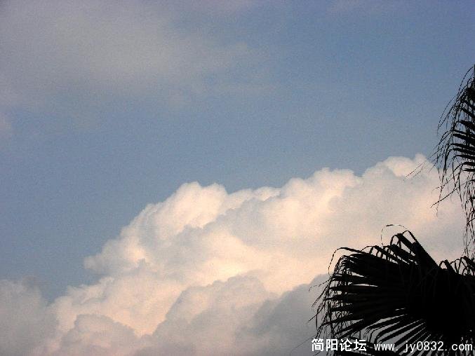 QQ截图未命名1.JPG