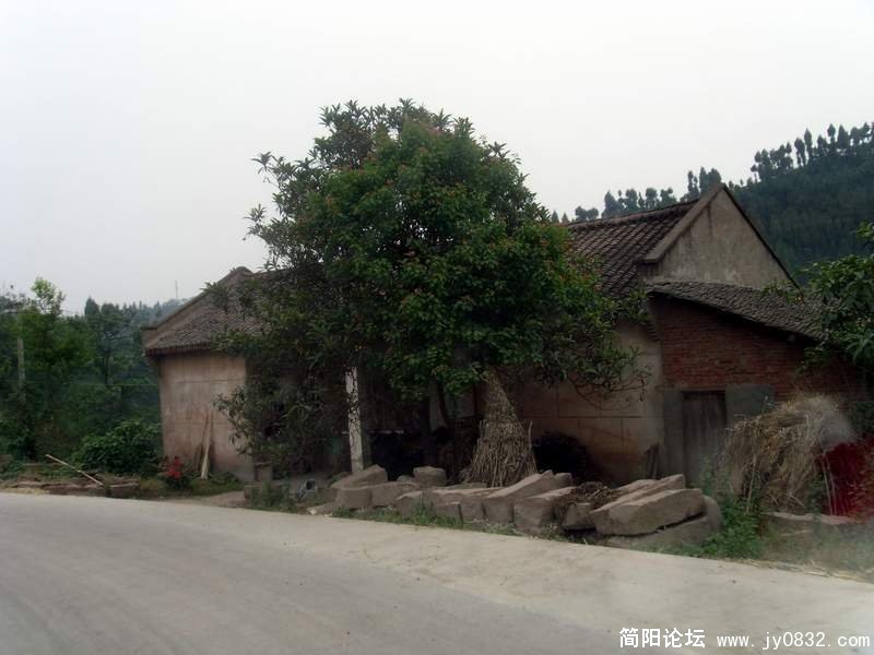 S73R0452.JPG