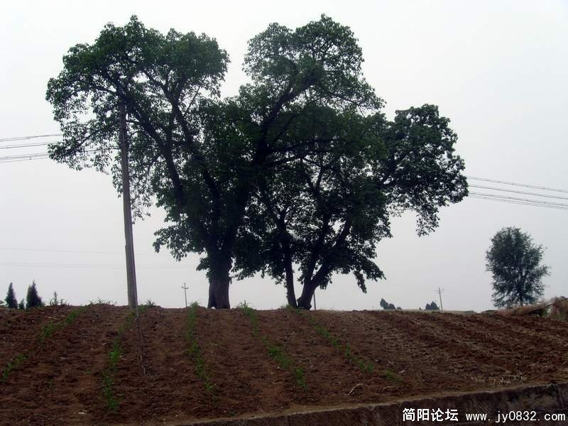 S73R0448.JPG