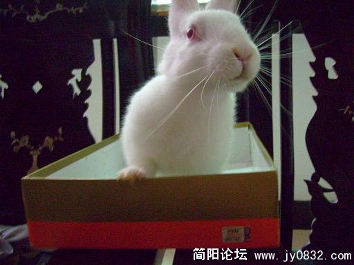 有余震，是不是哦？