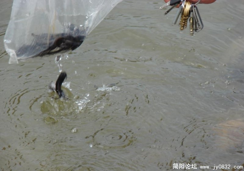 接着来.jpg