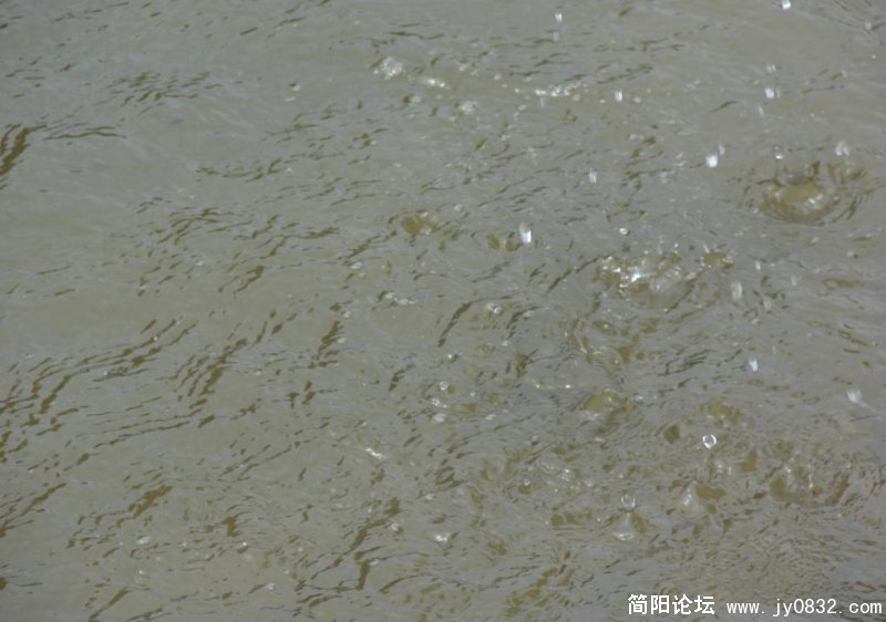 跑来没影儿了.jpg