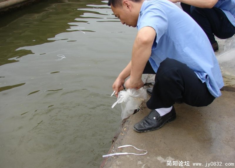 用刀来快些,免得把鱼闷死了.jpg
