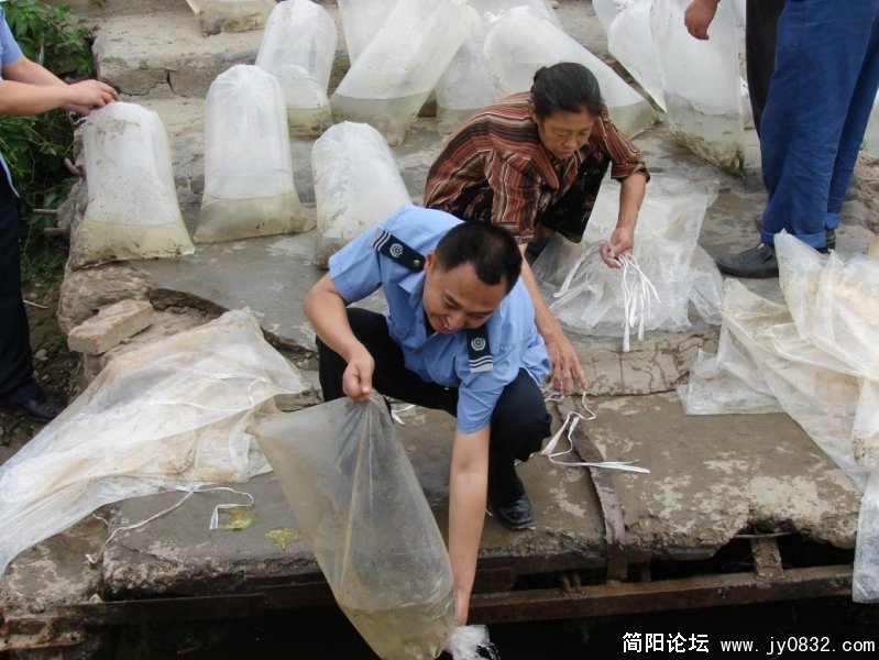 放生是比较喜悦的2.jpg