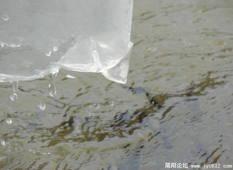 开始3.jpg