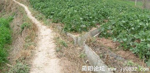 排灌沟