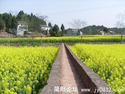 从田上面跨过的渡槽
