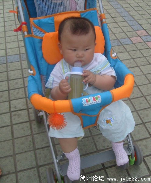 S7303141.jpg