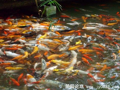 无组织无纪律？