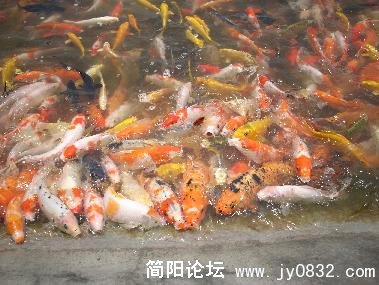 未命名18.jpg