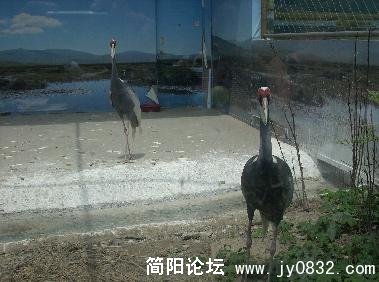 未命名16.jpg
