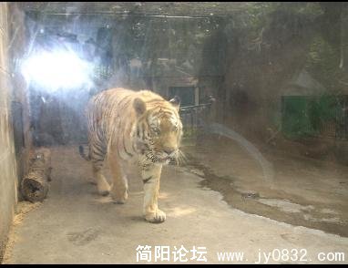 未命名3.jpg