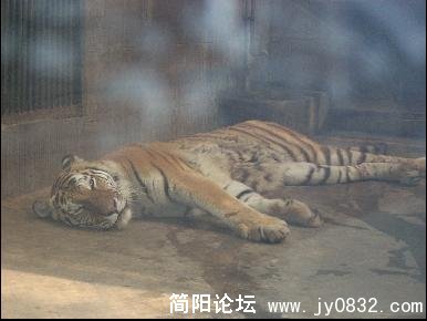 未命名2.jpg