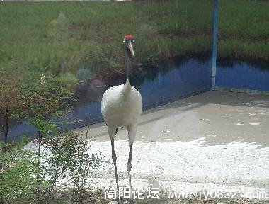 未命名14.jpg