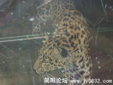 未命名8.jpg