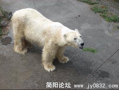 未命名12.jpg