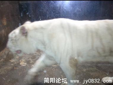 未命名7.jpg