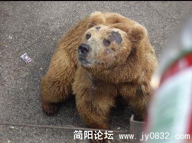 未命名13.jpg
