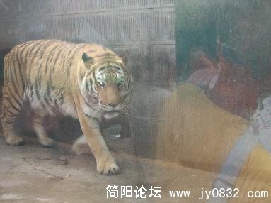 未命名5.jpg