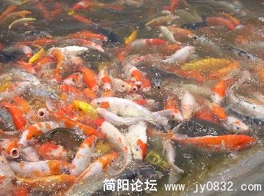 未命名19.jpg