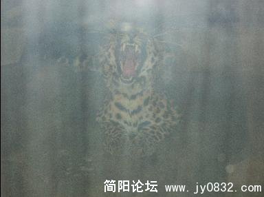 未命名6.jpg