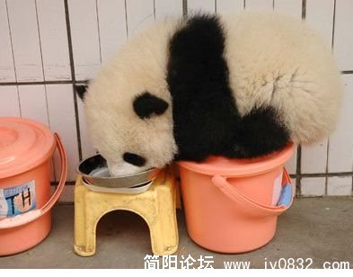 未命名2.jpg