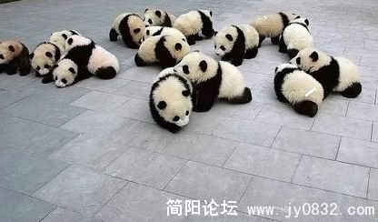 未命名23.jpg