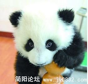 未命名3.jpg
