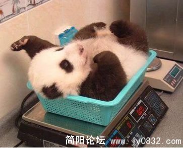 未命名33.jpg