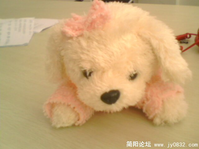 IMG0169A.jpg