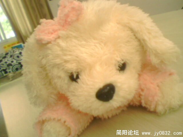IMG0170A.jpg