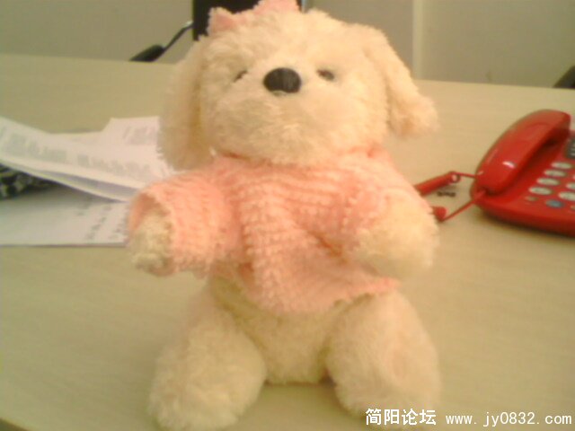 IMG0168A.jpg