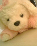 IMG0171A.jpg