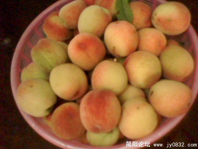 IMG0167A.jpg