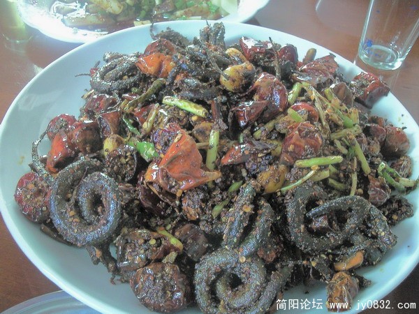 照片269.jpg