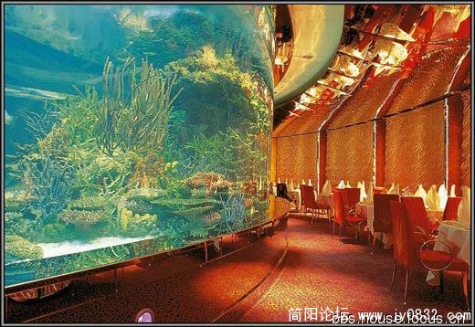 海底餐厅2~