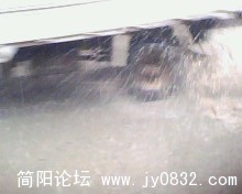 IMG0113A.jpg