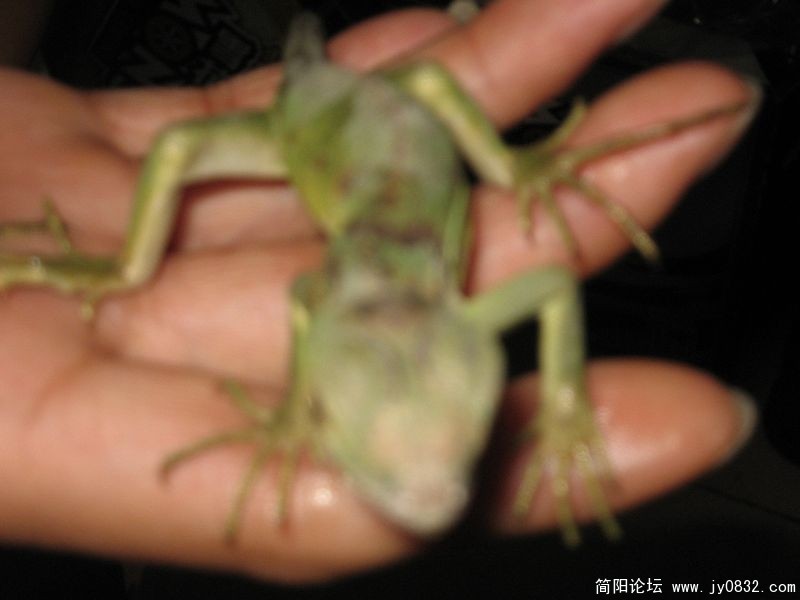 照片 076xiao.jpg