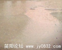 IMG0114A.jpg