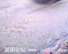 IMG0116A.jpg