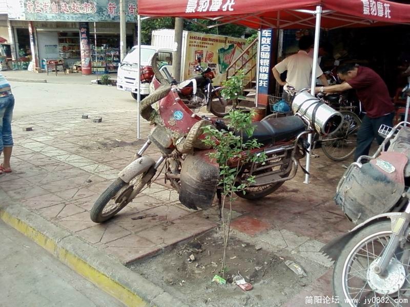 SP_A2485.jpg