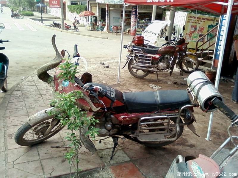 SP_A2486.jpg