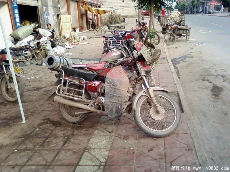 SP_A2487.jpg