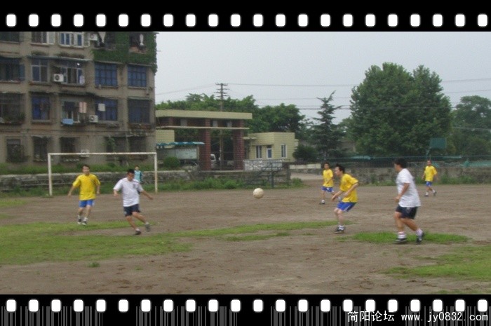 P6150048.jpg